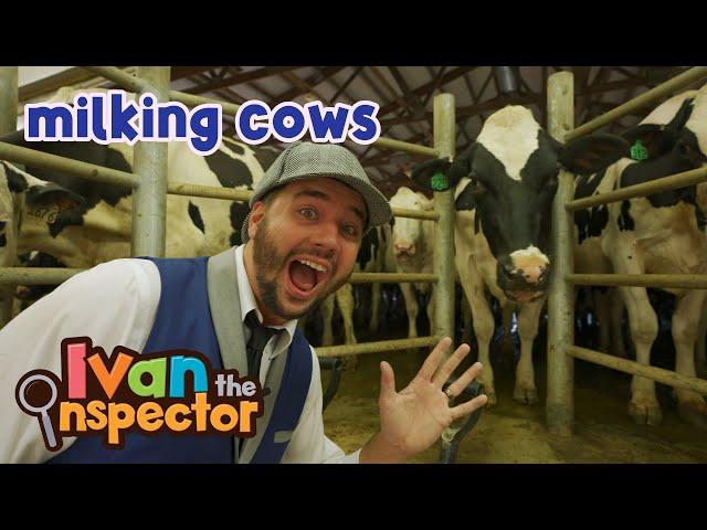 Ivan Inspects Milking Cows | Fun and Educational Videos for Kids and Toddlers