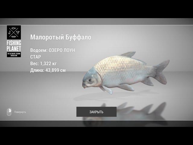 Fishing Planet - Как ловить Малоротого Буффало на озере Лоун Стар?