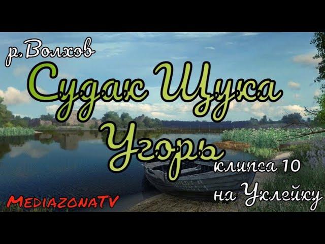 Русская Рыбалка 4 Где Клюет ? р.Волхов Судак Щука Угорь 22.10