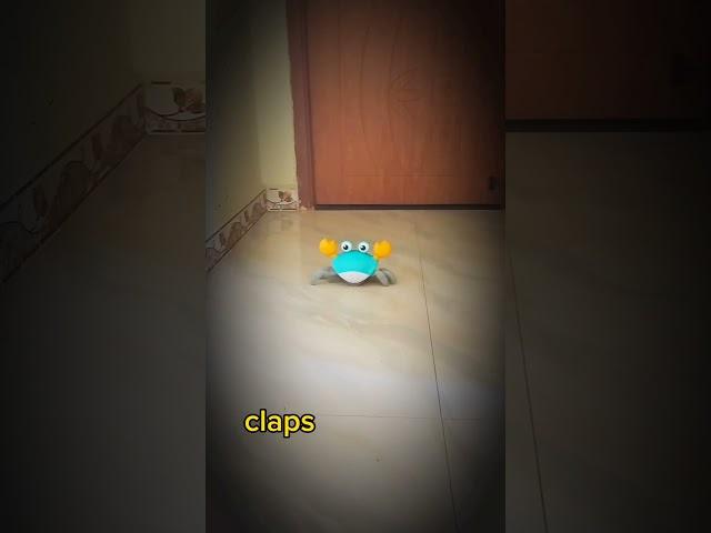 Crab   enter without permission| claps |#animation #cartoon #comedy