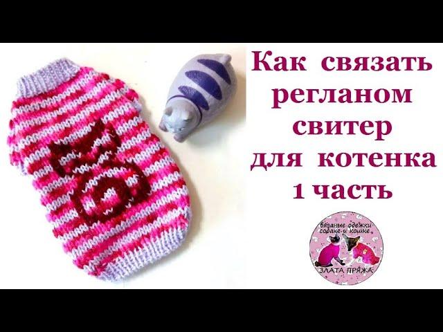 Как связать регланом свитер для котенка 1 часть