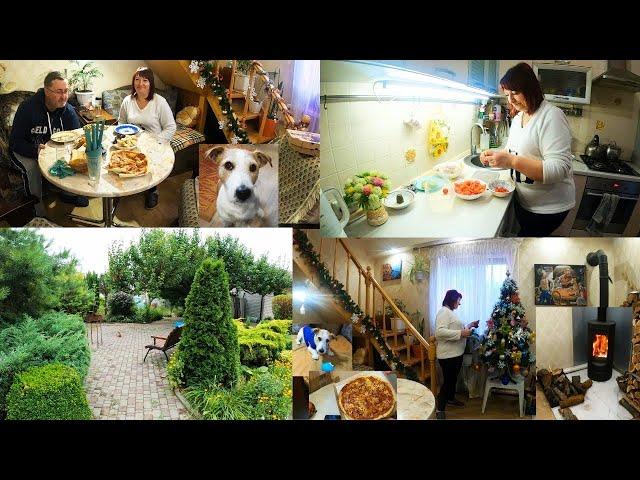 Нарядили елку. Укроп в декабре. Вкусный обед #ukraine #жизньзагородом #familyvlog