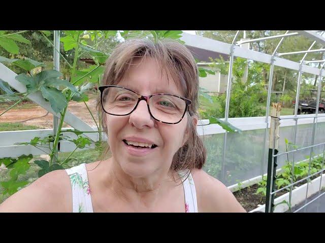 4 Greenhouses!  How are They DIFFERENT?