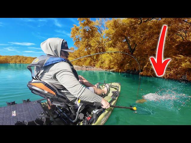 Unforgettable Catch Biggest Fish Ever Landed in the River!