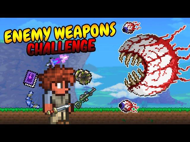 Can You Beat Terraria Using Enemy Weapons Only?