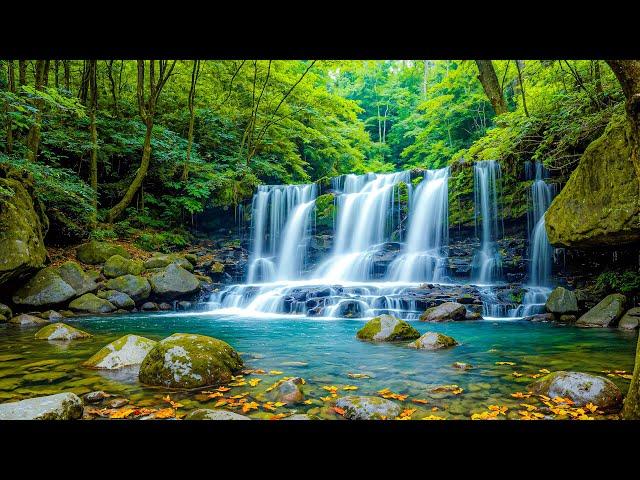 Relaxing Music For Stress Relief, Anxiety and Depressive States  Heals the Mind, Body and Soul #4