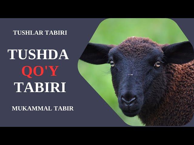 TUSHDA QO'Y TABIRI | TUSHDA QO'Y KO'RISH NIMAGA ISHORA BO'LADI?