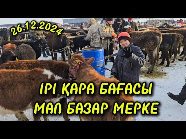 26.12.2024 ІРІ ҚАРА БАҒАСЫ / МАЛ БАЗАР ТАРАЗ