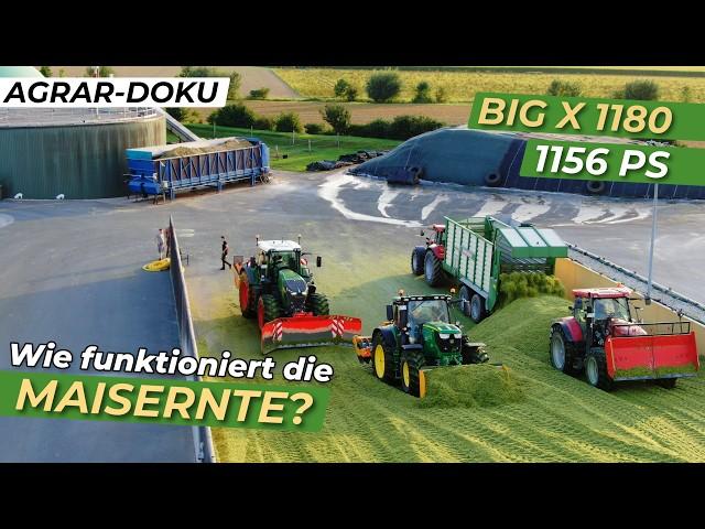 How does the forage harvest work? | Krone BigX 1180, Fendt 927, Case Optum 300 | Short documentation