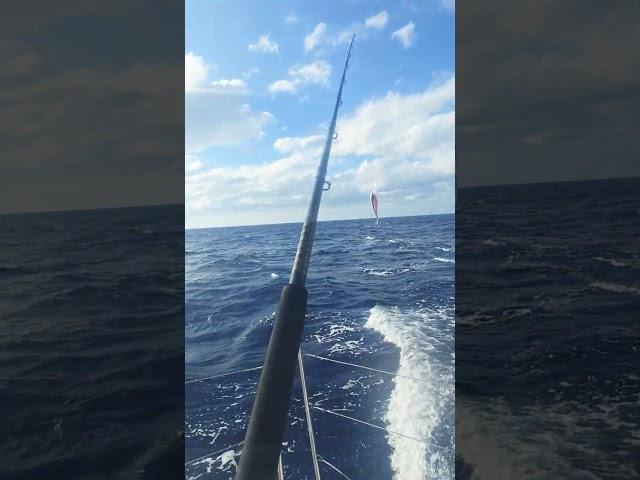 fishing while sailing