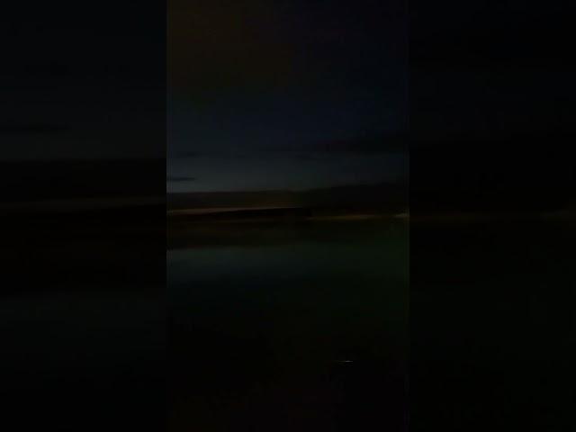 Соловьи поют
