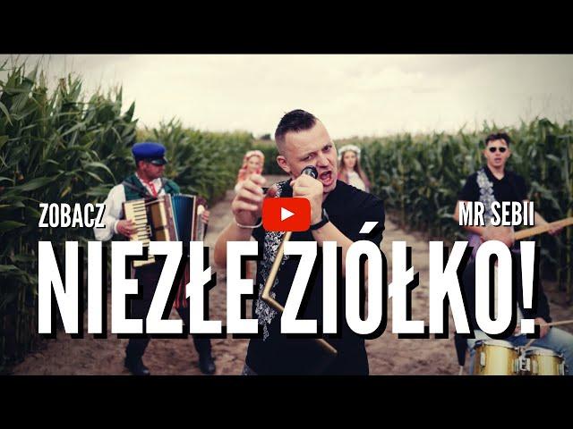 MR SEBII - NIEZŁE ZIÓŁKO / ZIOŁO (Official Video) Nowość Disco Polo