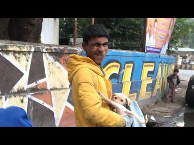 Kutta Chor | Ratlam Me Kutte Choro Ka Aatank | Adsath Vlogs