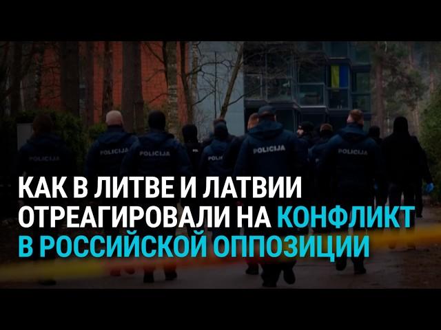 Отголоски "Невзлингейта" в странах Балтии: Латвия отрицает обвинения, Литва призывает к сдержанности