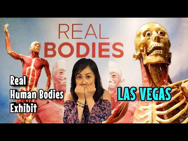 Inside the Creepiest Exhibit in Las Vegas | Real Bodies at Horseshoe Las Vegas