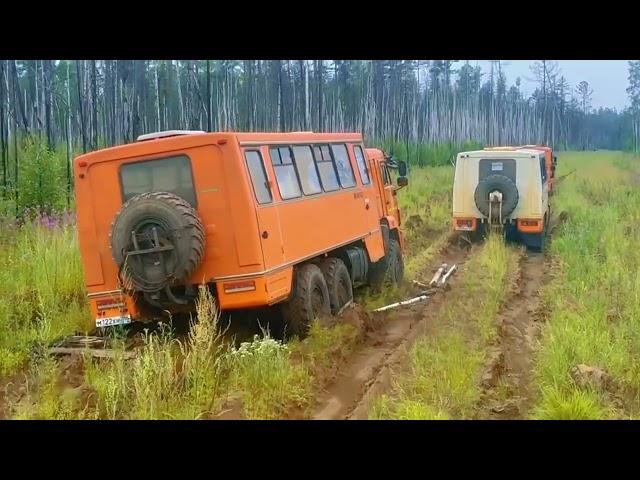 Зимник Усть-Кут_Мирный в июле. Пикет Бур и брошенные машины.