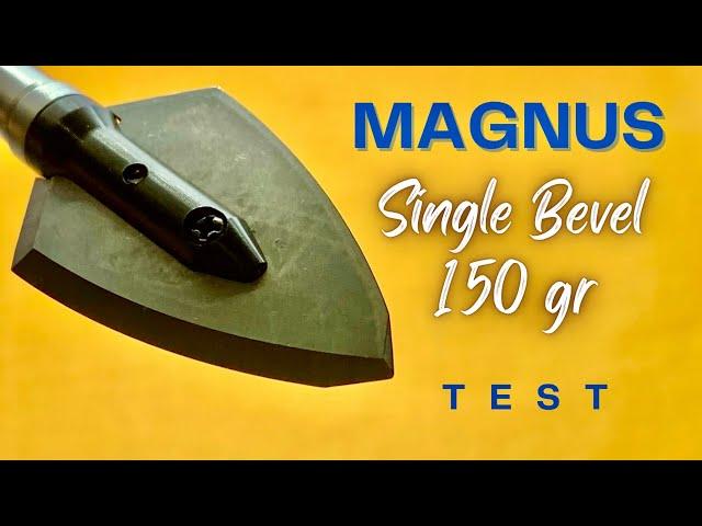 MAGNUS SINGLE BEVEL 150 gr Broadhead Test