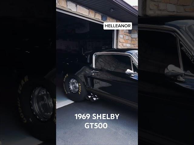 1969 Shelby GT500: The Ultimate American Muscle Car! #shelbygt500 #musclecar #automobile