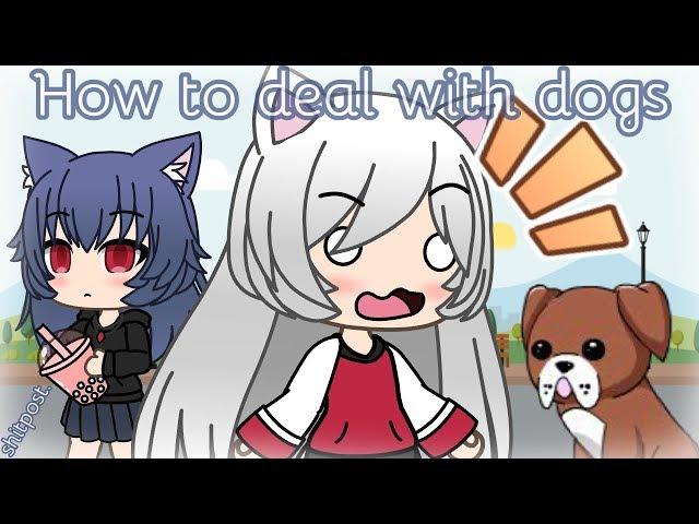 {Shitpost} How to deal with dogs