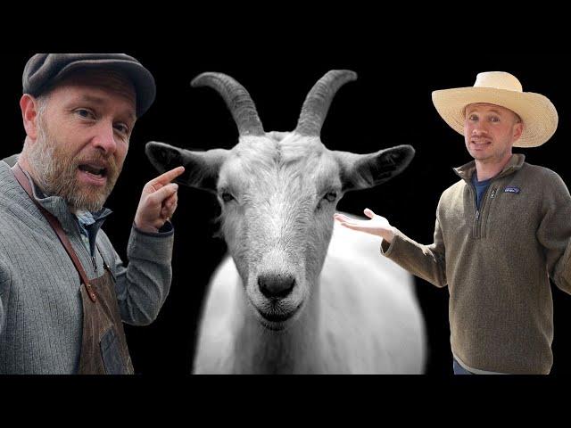 Justin Rhodes Wants Me to Film GOATS?!