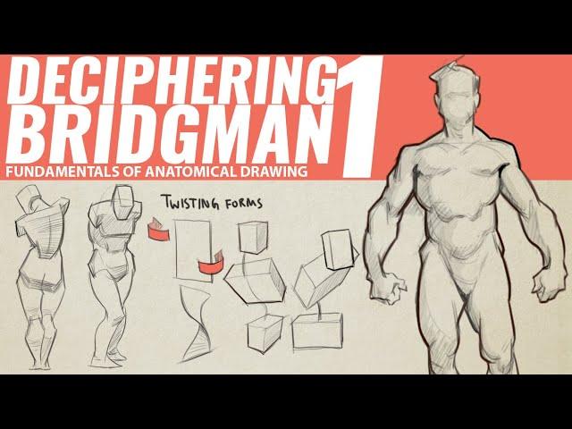 DECIPHERING BRIDGMAN'S ANATOMY 1