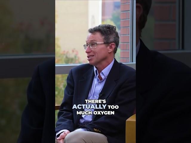 How NAC Helps the Brain | Dr. Monti Integrative Health MD