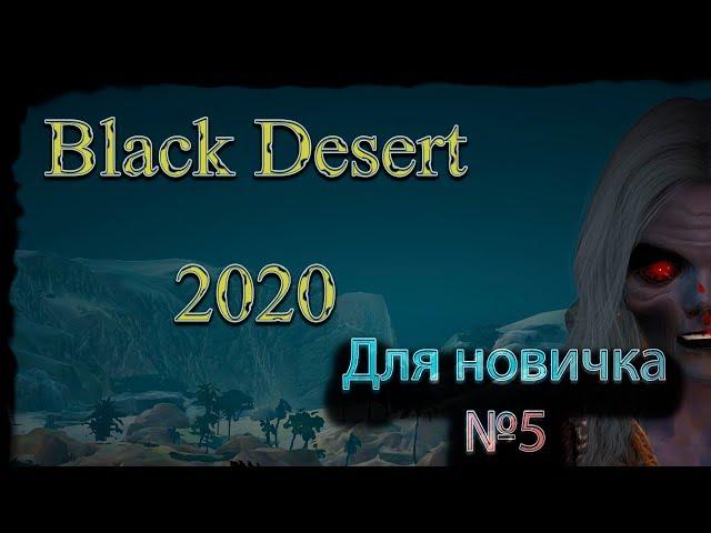 Гайд для новичка №5 в Black Desert 2020