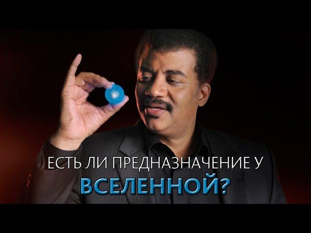 Есть ли предназначение у Вселенной? Нил Деграсс Тайсон [MinutePhysics]