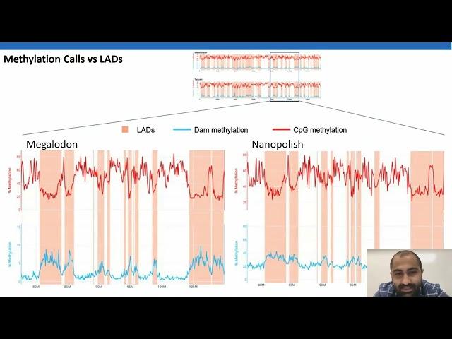 Measurement of DNA Methylation and Nuclear Organization with Nanopore Sequencing