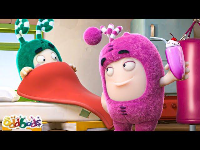 Newt Trains Zee Back To Health ️‍🩹 | BEST OF NEWT  | ODDBODS | Funny Cartoons for Kids