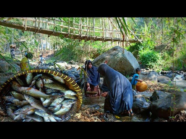 look for fish together, fish in the river are abundant | eating with big family