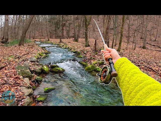 The BEST DAY OF FLY FISHING THIS YEAR! (Big Trout in a Tiny Creek)