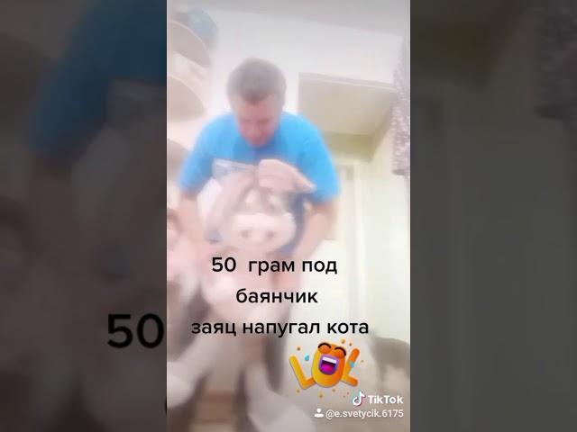 два видео из тиктока.(2)