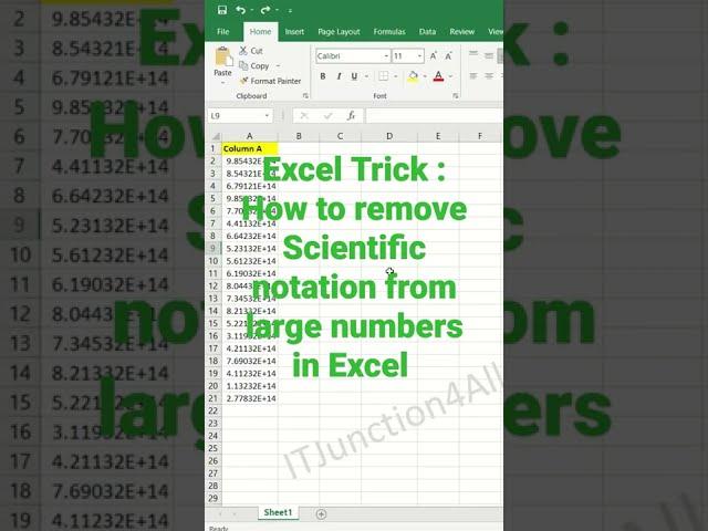 How to Remove Scientific notation from large numbers in Excel | Excel Tips & Tricks #shorts