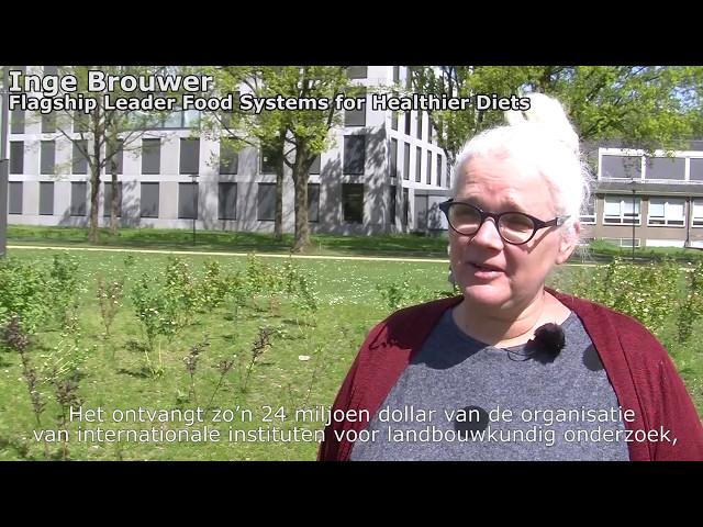 Food systems for healthier diets | Wageningen University & Research