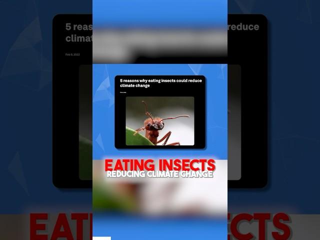 Eating insects - reducing climate change