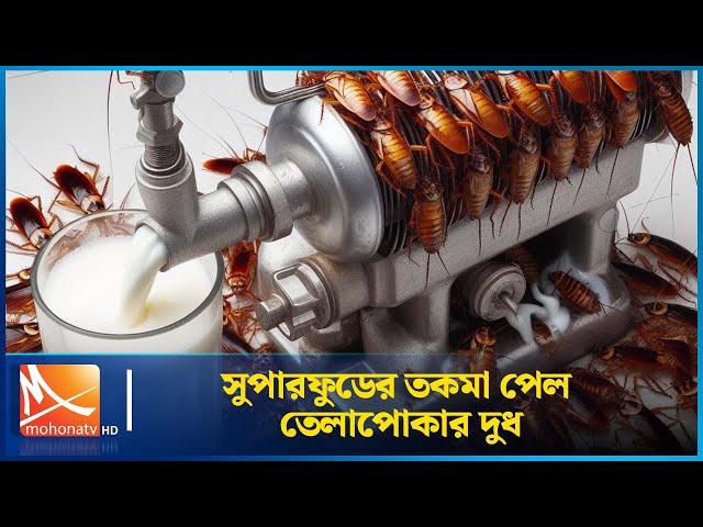 সুপারফুডের তকমা পেল তেলাপোকার দুধ | Mohona TV