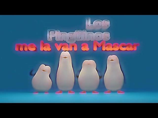 Los pingüinos me la van a mascar Edit(Capcut ver)