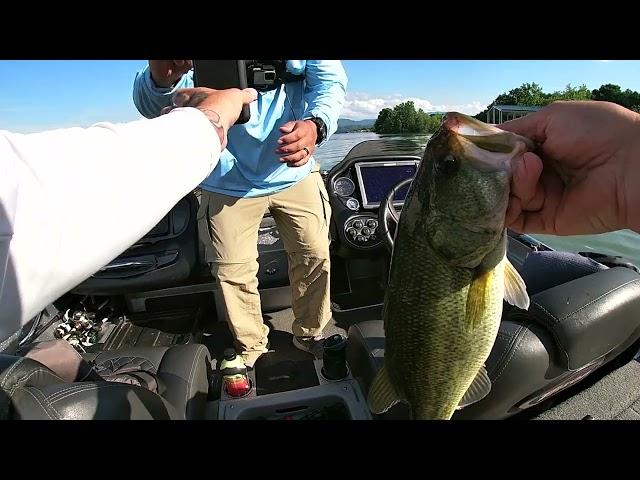 Shallow bite was on fire! Over 25 bass on Douglas.