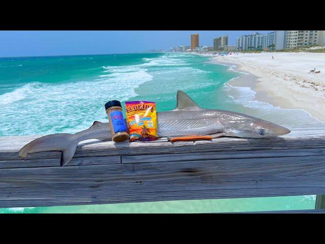 SHARK Catch n' Cook on a Florida Pier!