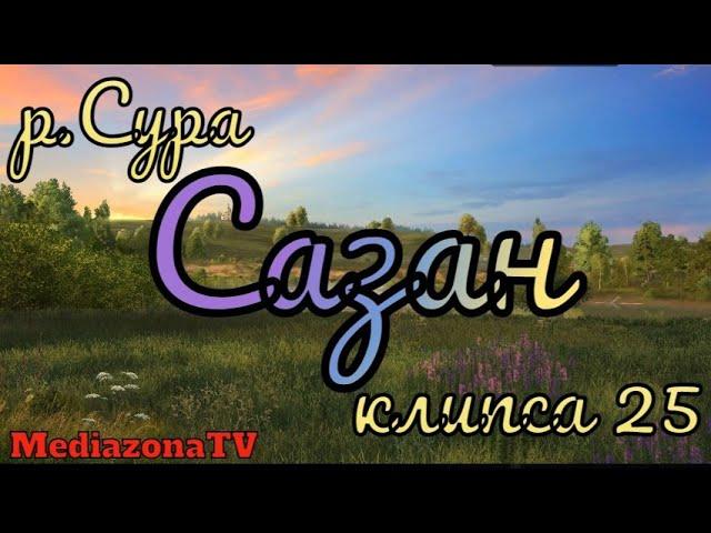 Русская Рыбалка 4 Где Клюет р.Сура Сазан 09.12