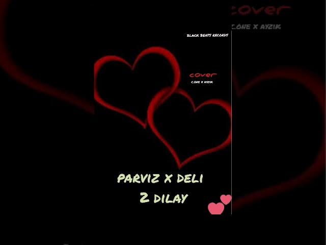 Parviz x Deli