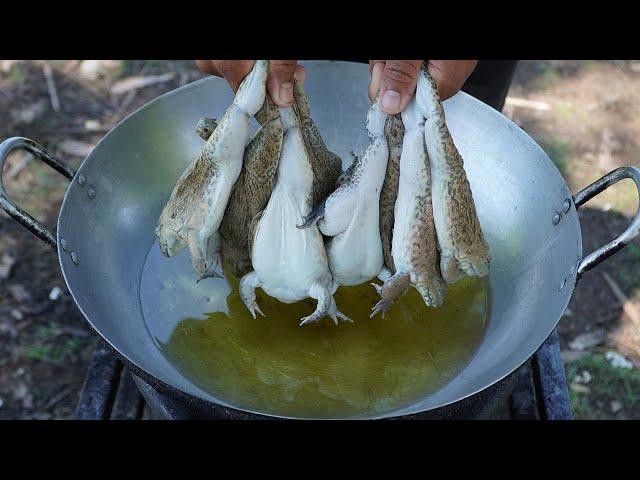 FIELD FROG!! Deep Fried Frog Recipe | Crunchy Frog Cooking and Eating