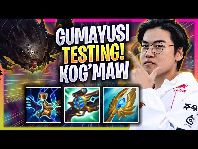 GUMAYUSI TESTING KOG'MAW IN EUW SOLOQ! - T1 Gumayusi Plays Kog'maw ADC vs Yasuo! | Bootcamp 2024