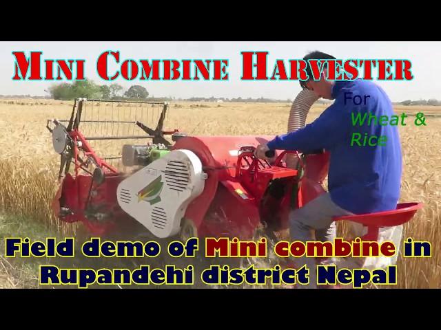 Chinese Mini Combine Harvester | Wheat Harvesting | In Rupandehi, Nepal