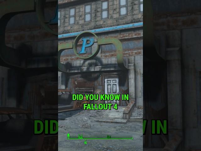 The Crazy Molerat Lady Of Fallout 4