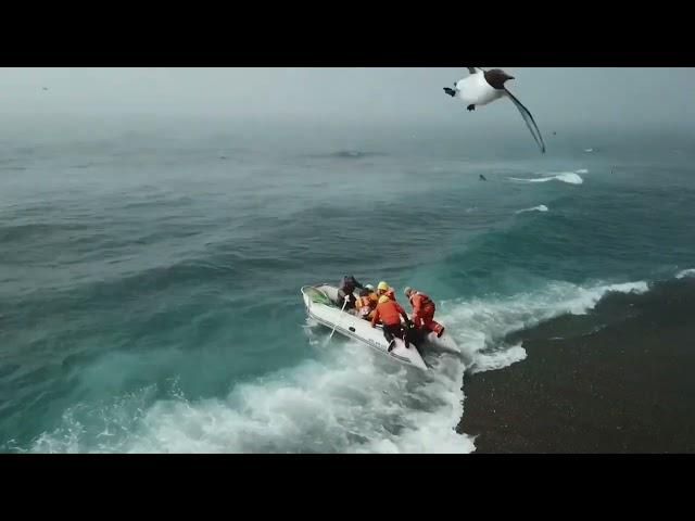 Однодневный рабочий выезд на остров Тюлений в составе участников @boomerangclub и @oceanfriendsteam.