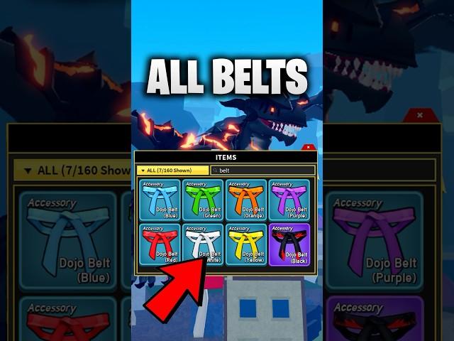 How To Get ALL Belts in Blox Fruits for DRACO Race...