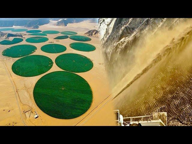 China's Techniques Transform Barren Lands Productive And Green