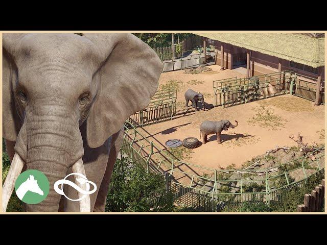 African Elephant Habitat | Desert Adventure Park | Planet Zoo